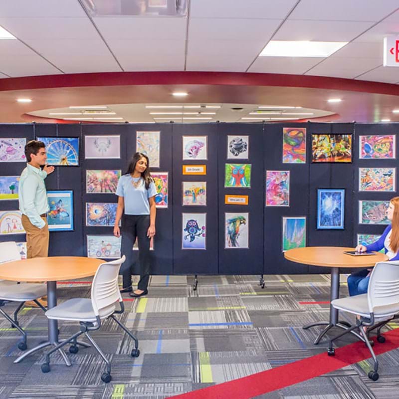 Classroom Dividers